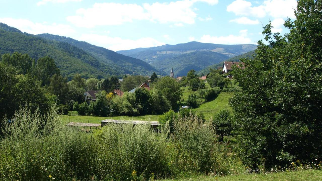 Gite Du Durrenbach Lautenbach Esterno foto