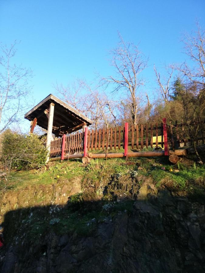 Gite Du Durrenbach Lautenbach Esterno foto